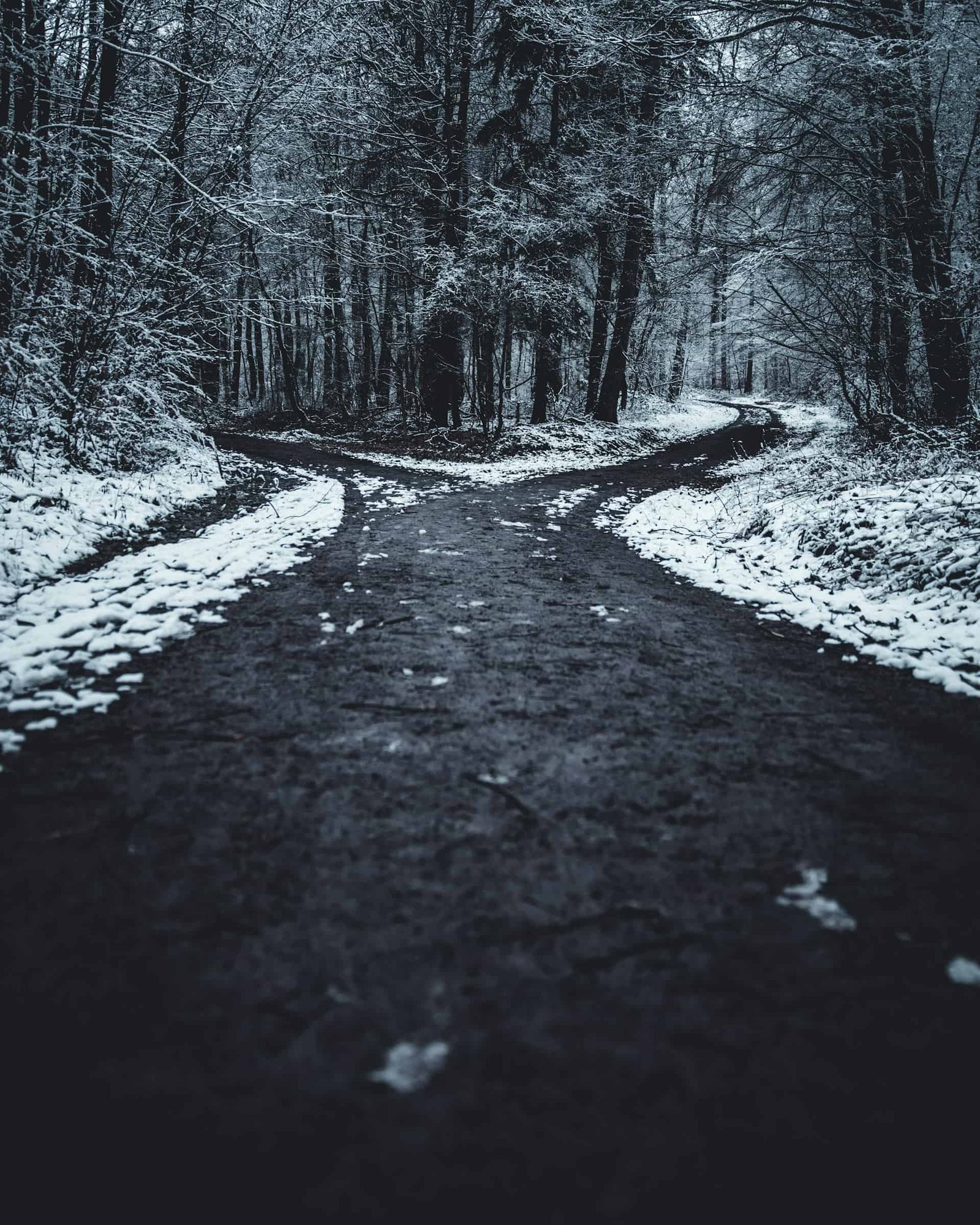 Frontend or Backend First? Here’s What I Actually Did