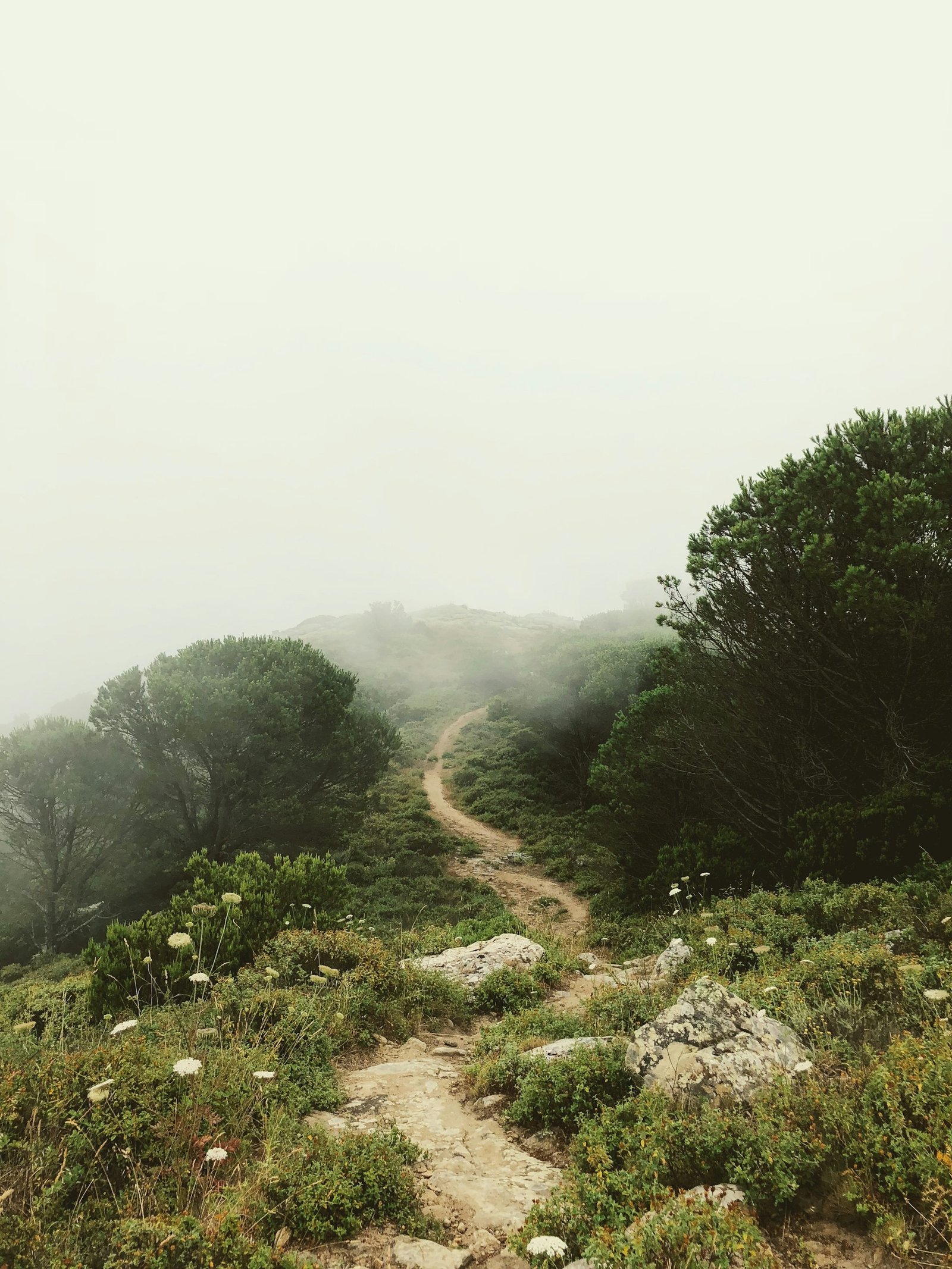 3 Years In: The One Thing I Feared Most Is the One I Now Embrace